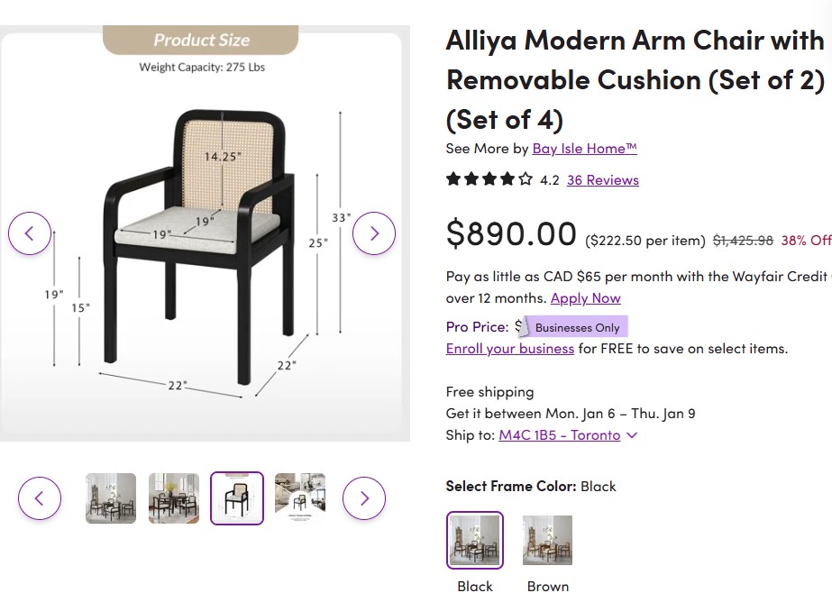 Alliya Modern Arm Chair with Removable Cushion
